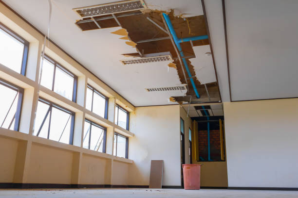 Best Ceiling water damage repair  in Erie, IL