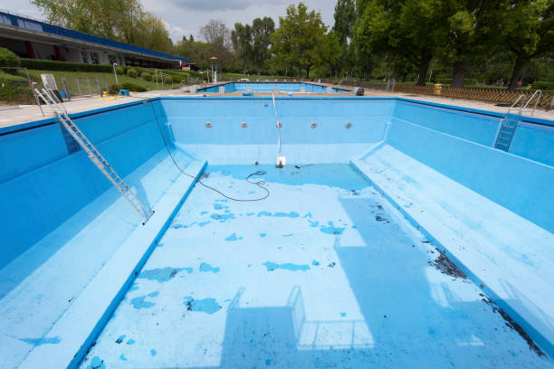 Best Basement water damage restoration  in Erie, IL