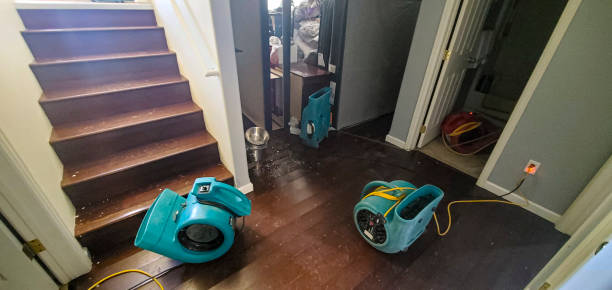 Best Water damage contractors near me  in Erie, IL