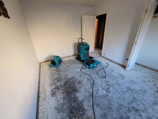 Best Fire Damage Restoration  in Erie, IL