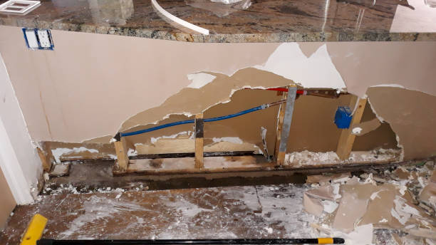 Best Professional water damage repair  in Erie, IL