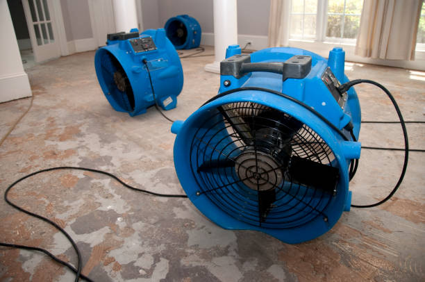 Best 24-hour water damage restoration  in Erie, IL