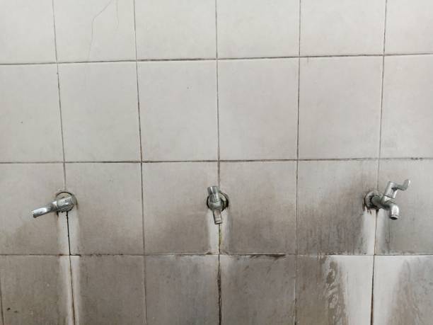 Best Emergency water damage restoration  in Erie, IL