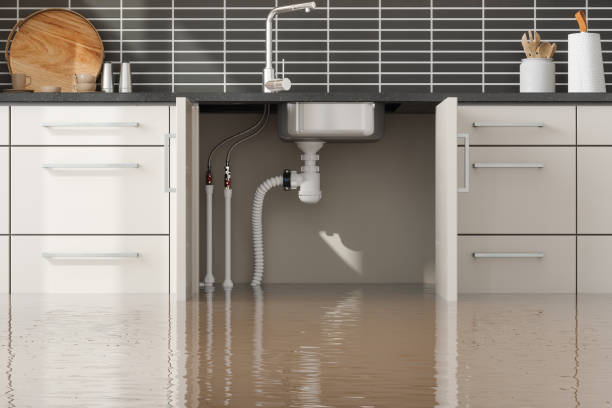 Best Commercial water damage restoration  in Erie, IL