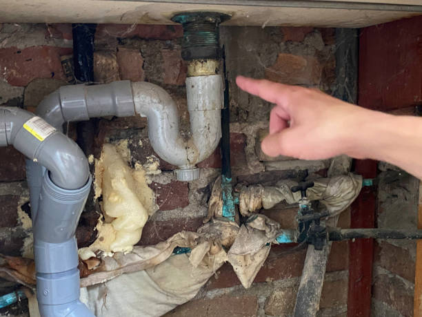 Best Water damage cleanup near me  in Erie, IL