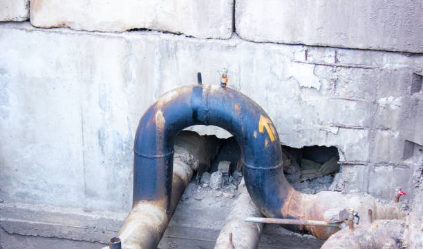 Best Flood restoration services  in Erie, IL