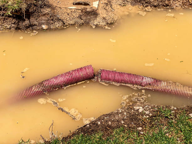 Best Water damage restoration process  in Erie, IL